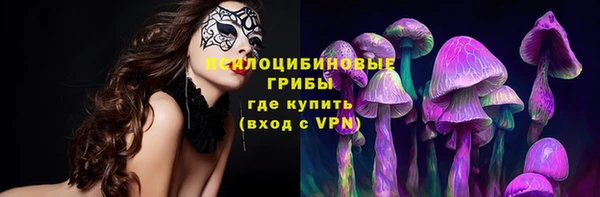 ешки Бугульма