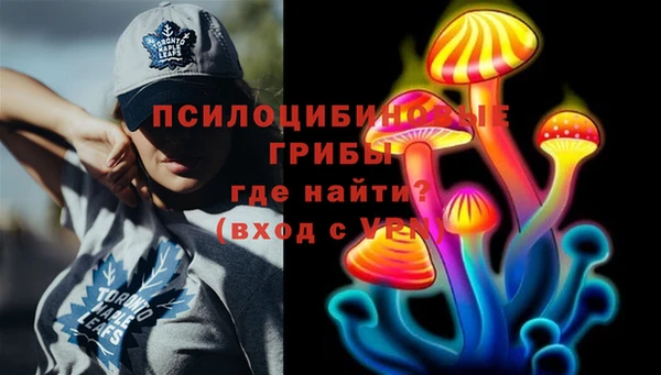 MDMA Богородицк